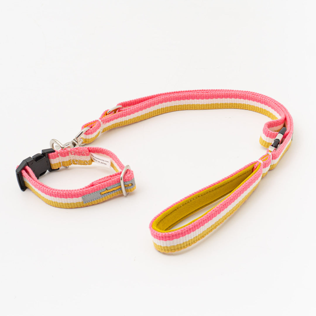 ペット用品 - GEORGE/　Candy pop Short Lead Sサイズ