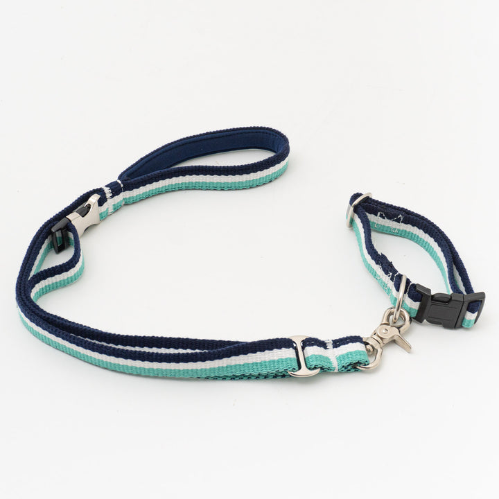 ペット用品 - GEORGE/　Candy pop Short Lead Sサイズ