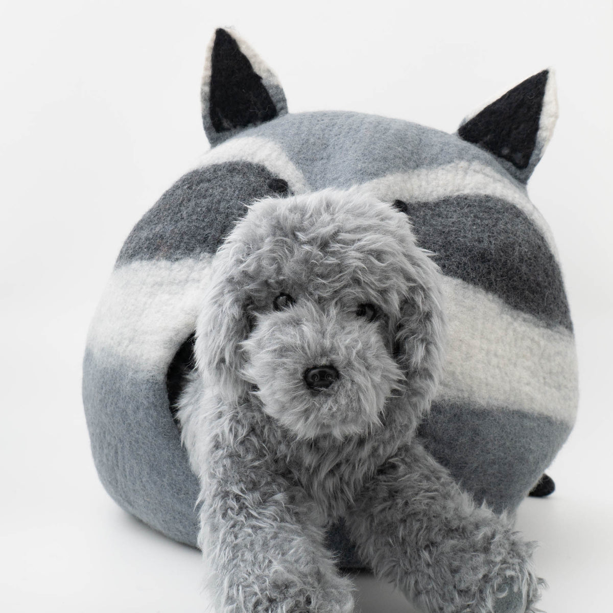 ペット用品-hamro VILLAGE｜RACCOON cat cave