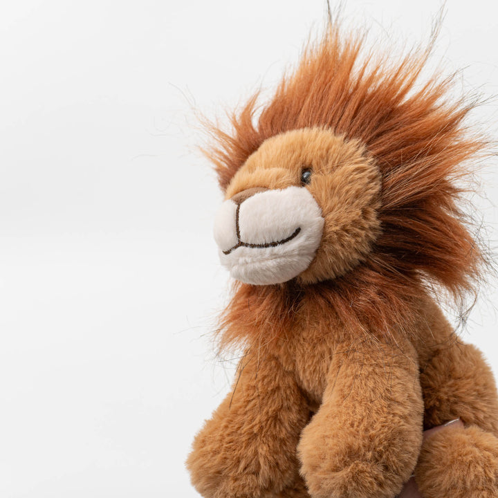 Mc Hugs/Sweet Lion MC400148