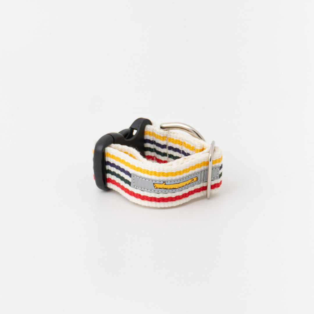 ペット用品 - GEORGE/　Candy pop Short Collar Sサイズ