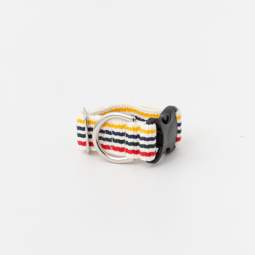 ペット用品 - GEORGE/　Candy pop Short Collar Sサイズ