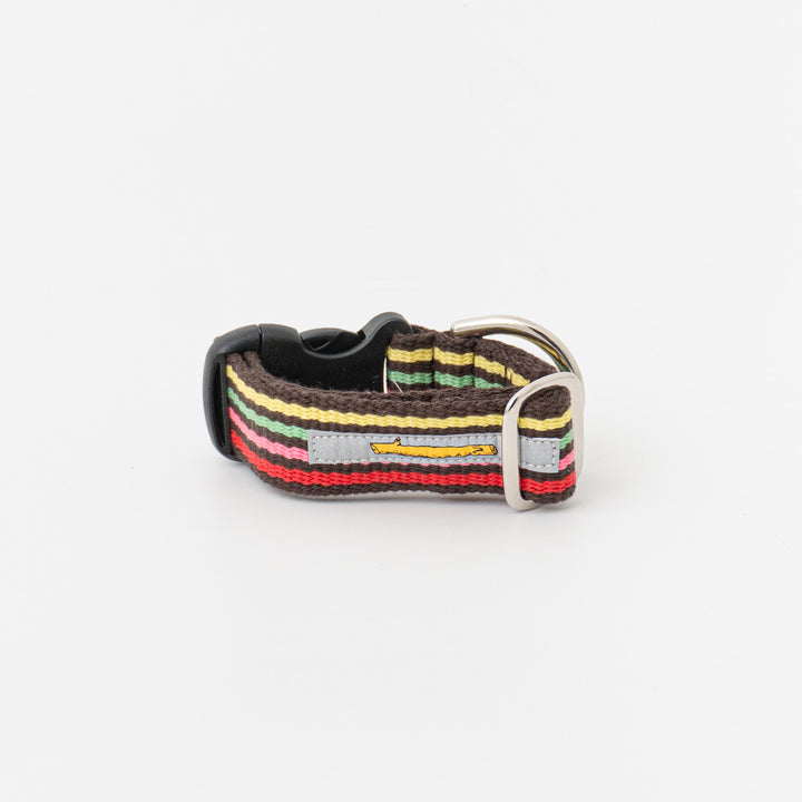 ペット用品 - GEORGE/　Candy pop Short Collar Sサイズ