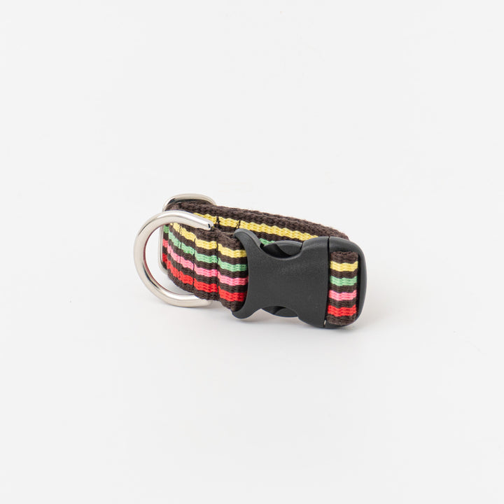 ペット用品 - GEORGE/　Candy pop Short Collar Sサイズ
