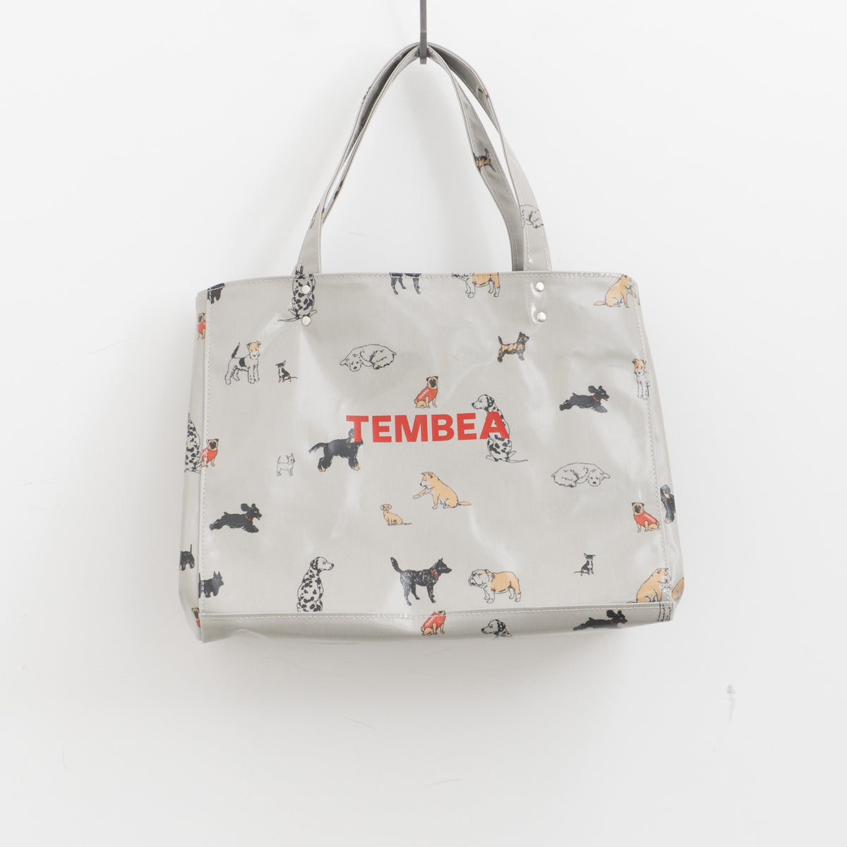 【10月末入荷・予約販売・数量限定】TEMBEA｜CARRY TOTE