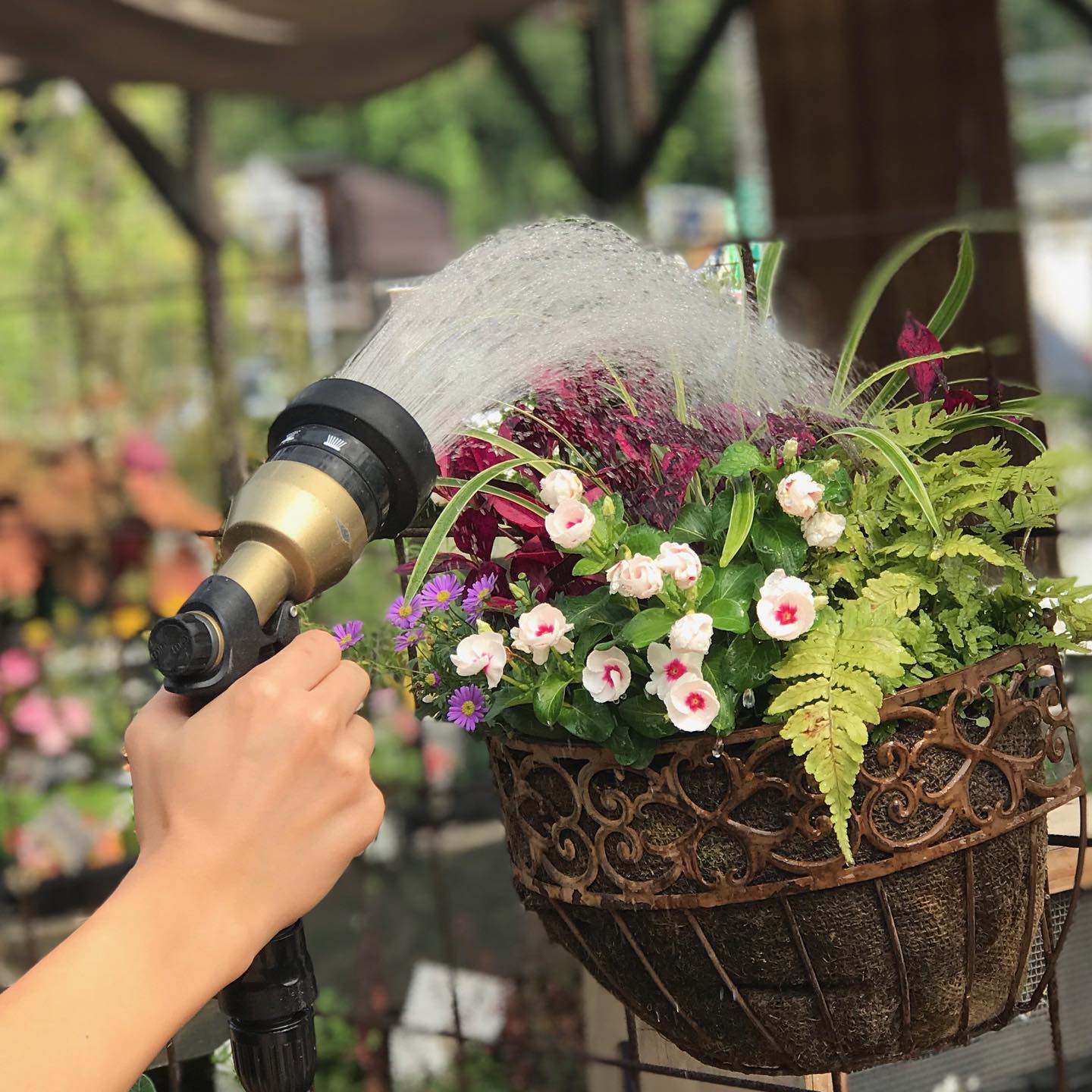 Royal Gardener's Club/　コンパクトガーデンリールⅡ 20m - haus-netstore