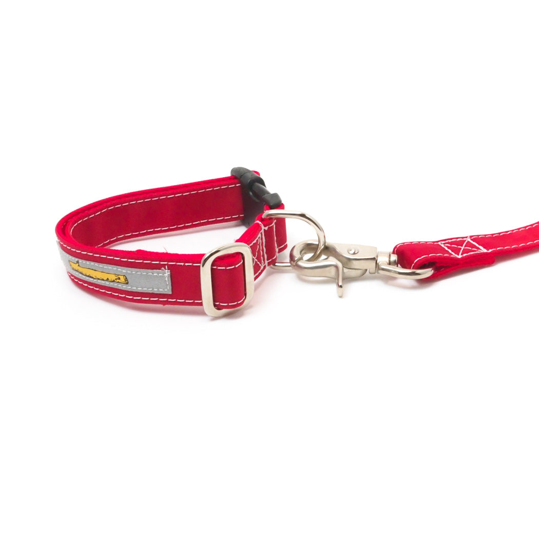 ペット用品 - GEORGE/　リッチナイロンカラー Sサイズ - haus-netstore