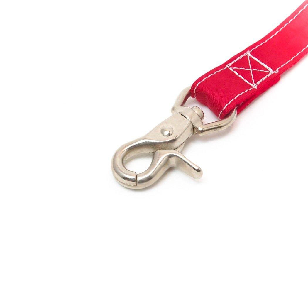 ペット用品 - GEORGE/　リッチナイロンリード レッド - haus-netstore