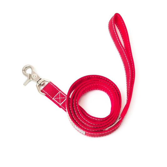 ペット用品 - GEORGE/　リッチナイロンリード レッド - haus-netstore