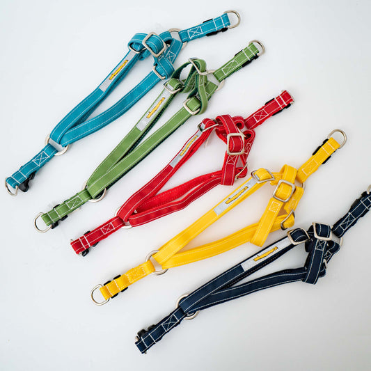 ペット用品 - GEORGE/　ハーネス - haus-netstore
