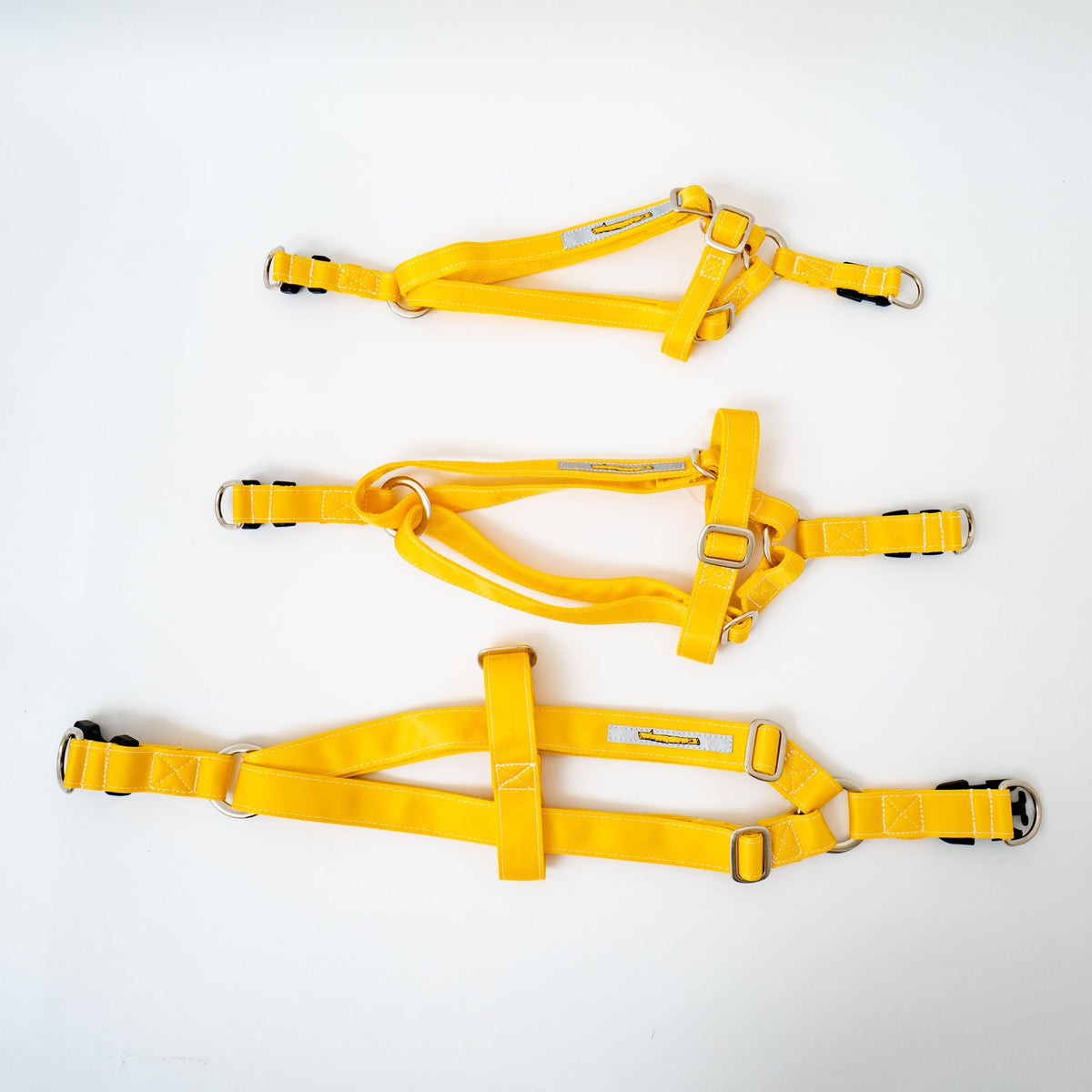 ペット用品 - GEORGE/　ハーネス - haus-netstore
