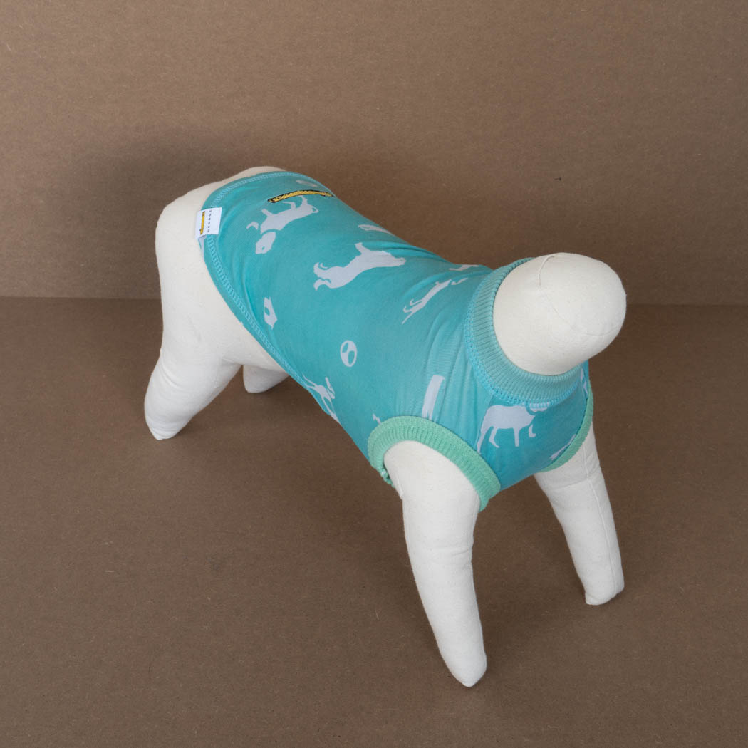 ペット用品 - GEORGE/　original dog Tシャツ20 ブルー - haus-netstore