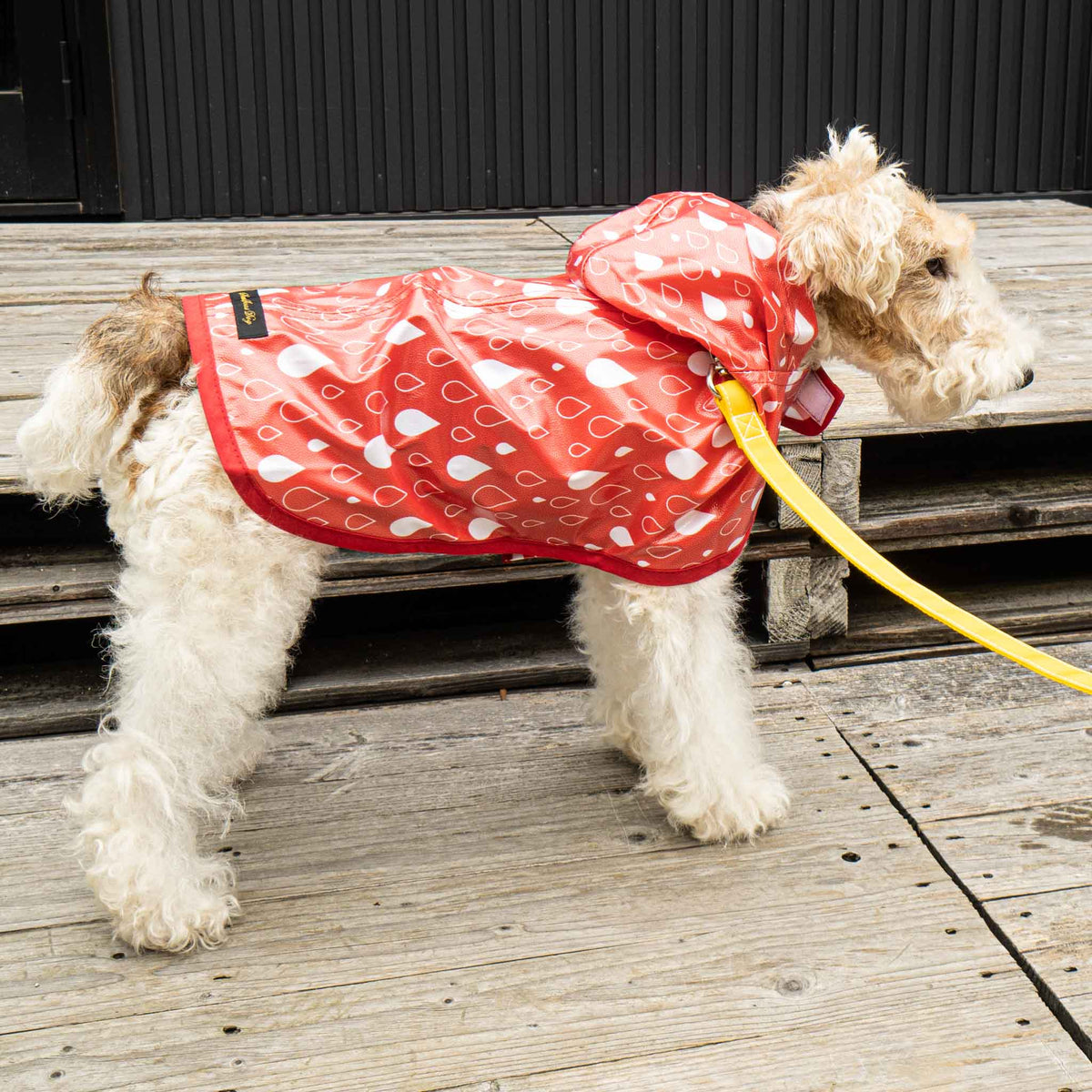 ペット用品 - ILKARE/　DOG RAIN COAT - haus-netstore