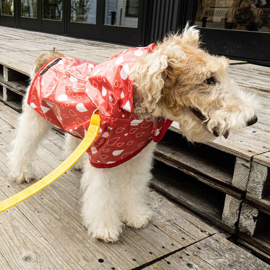 ペット用品 - ILKARE/　DOG RAIN COAT - haus-netstore
