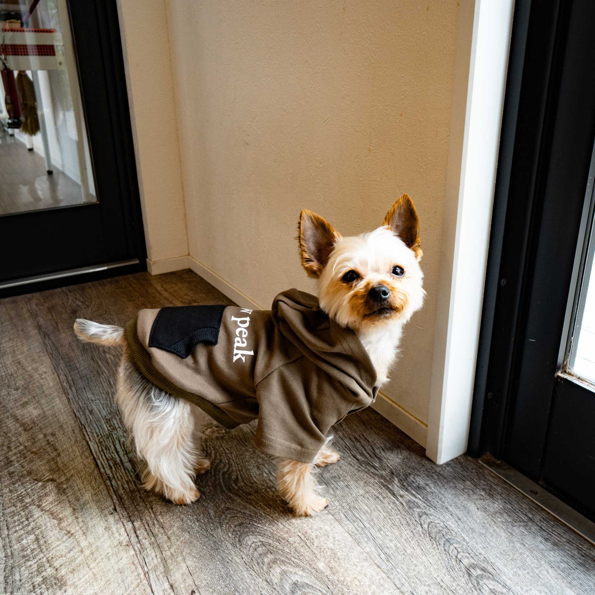 ペット用品 - snow peak /　SP Dog Parka - haus-netstore