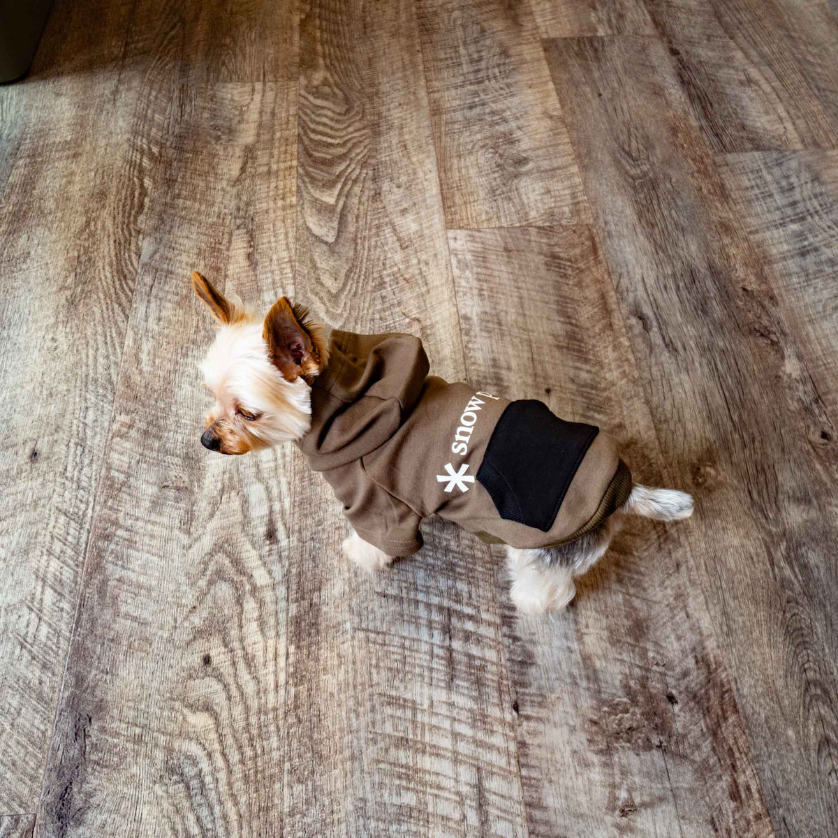ペット用品 - snow peak /　SP Dog Parka - haus-netstore