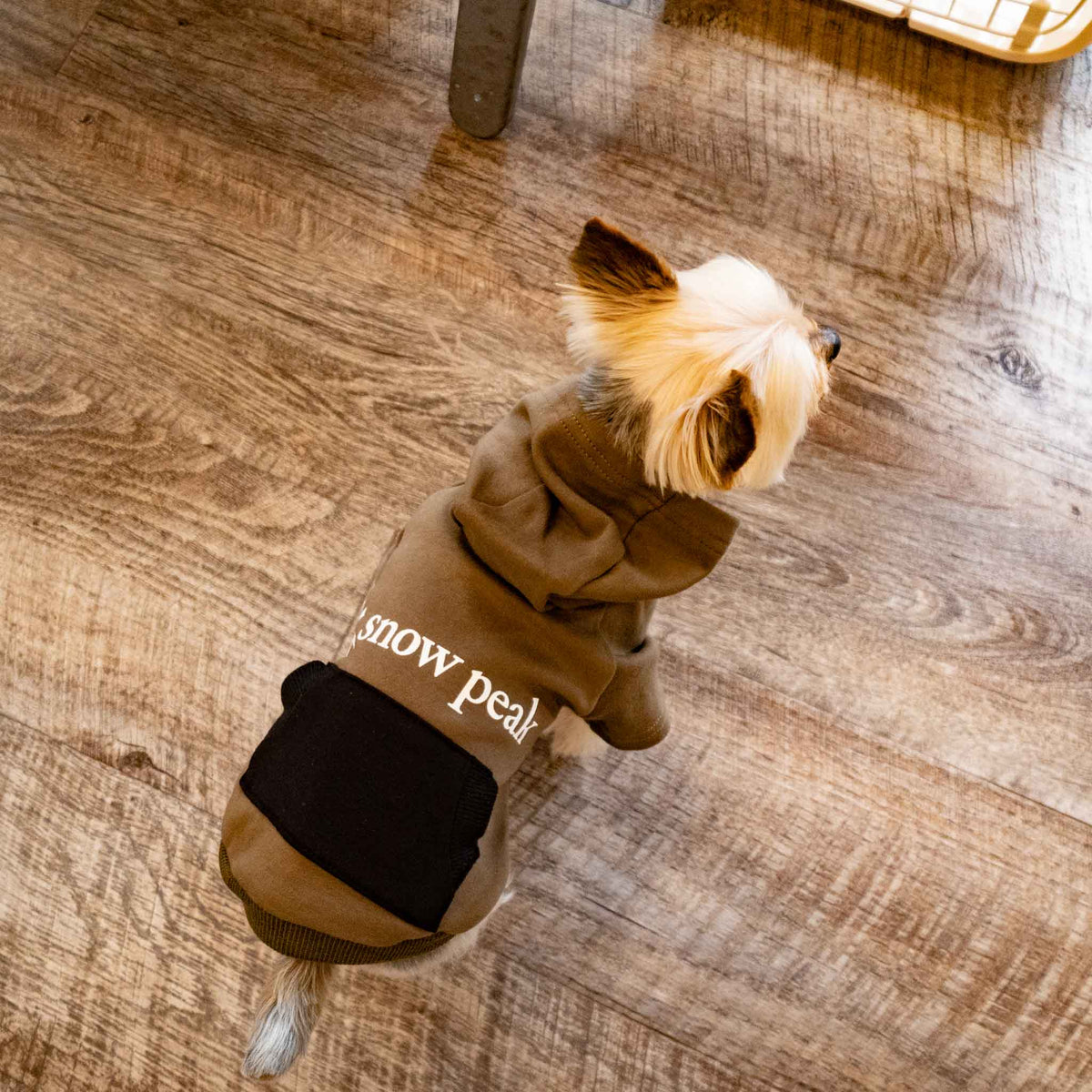 ペット用品 - snow peak /　SP Dog Parka - haus-netstore