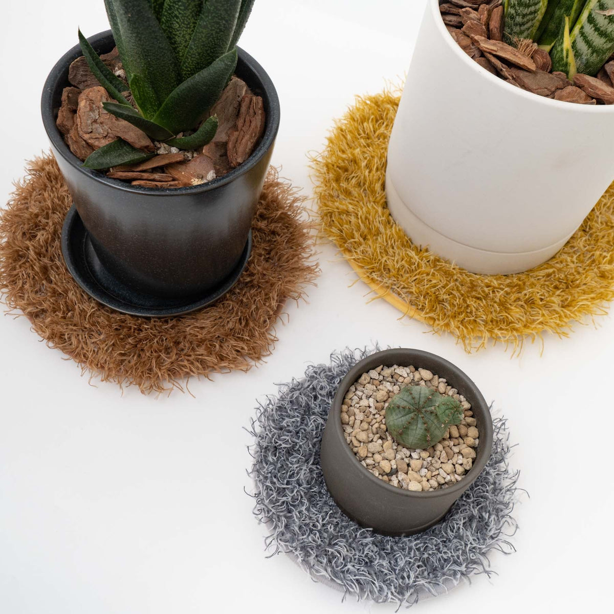 365/　PLANTS' RUG（プランツラグ） 植物用ラグ - haus-netstore