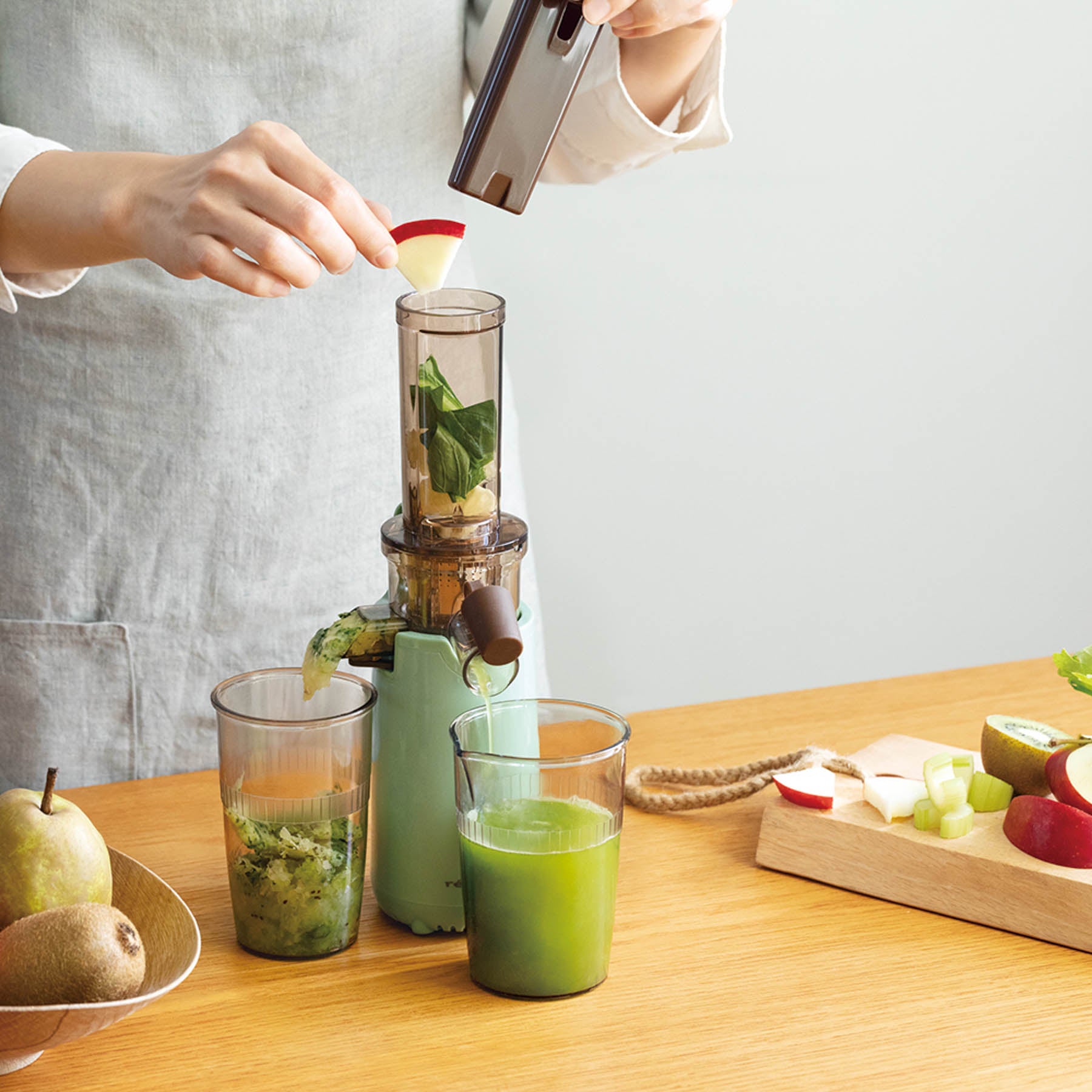 Recolte Cold Press Juicer Mini